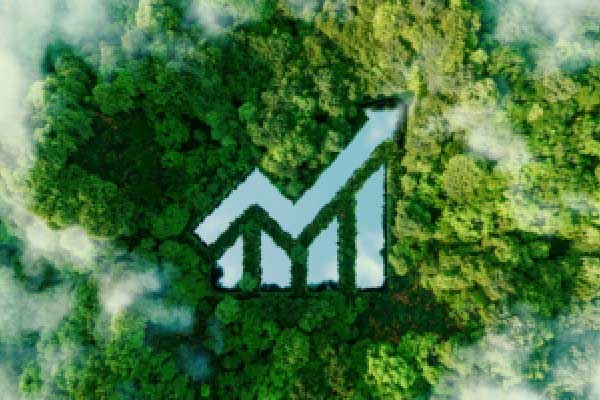 黄海对话野人先生崔渐为——野蛮生长的中国冰淇淋